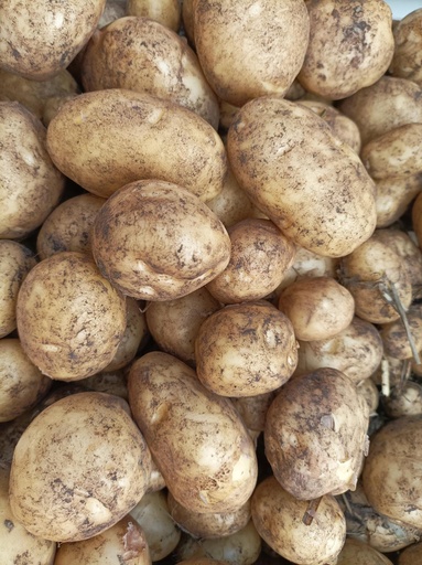 Pomme de Terre PRIMEURS (Vendues au Kg)