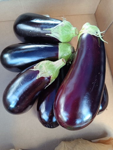 AUBERGINES